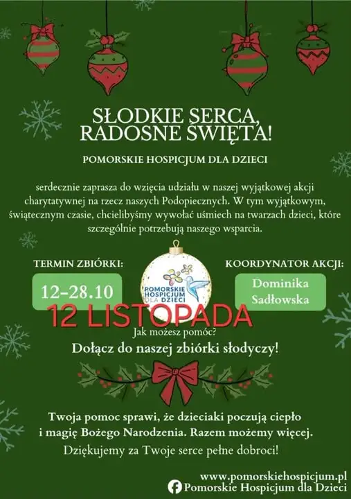 Szkolna zbiórka słodyczy dla podopiecznych Pomorskiego Hospicjum dla Dzieci