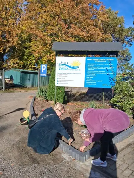1500 krokusów i tulipany posadzone w Przechlewie – wiosną zakwitnie gmina